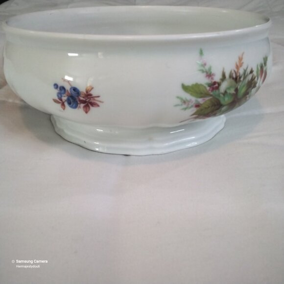 ROSENTHAL Bahnhof Selb Germany "Chippendale" Porcelain Autumn Nature Theme Bowl - Picture 3 of 9